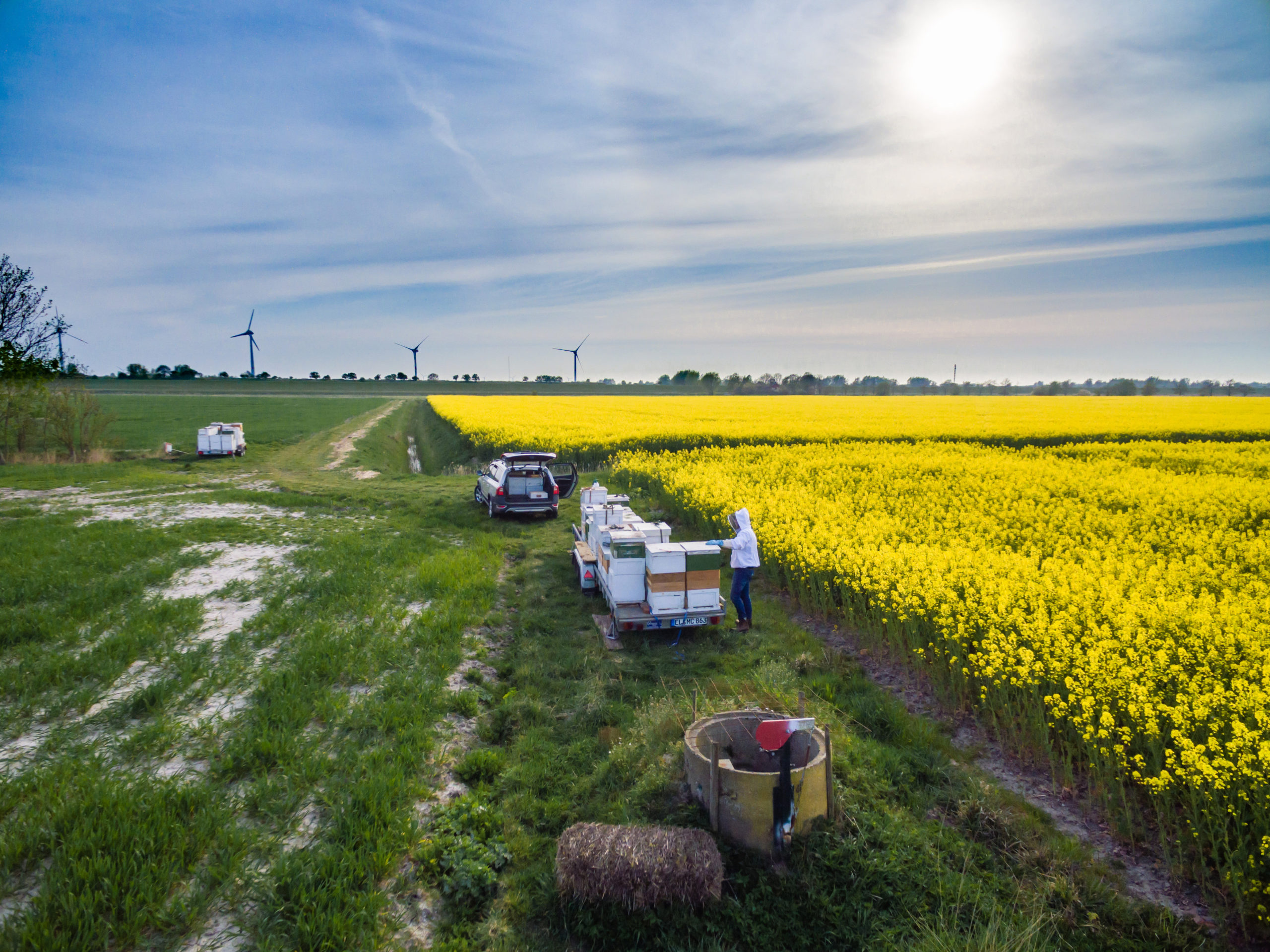DJI_0162_export