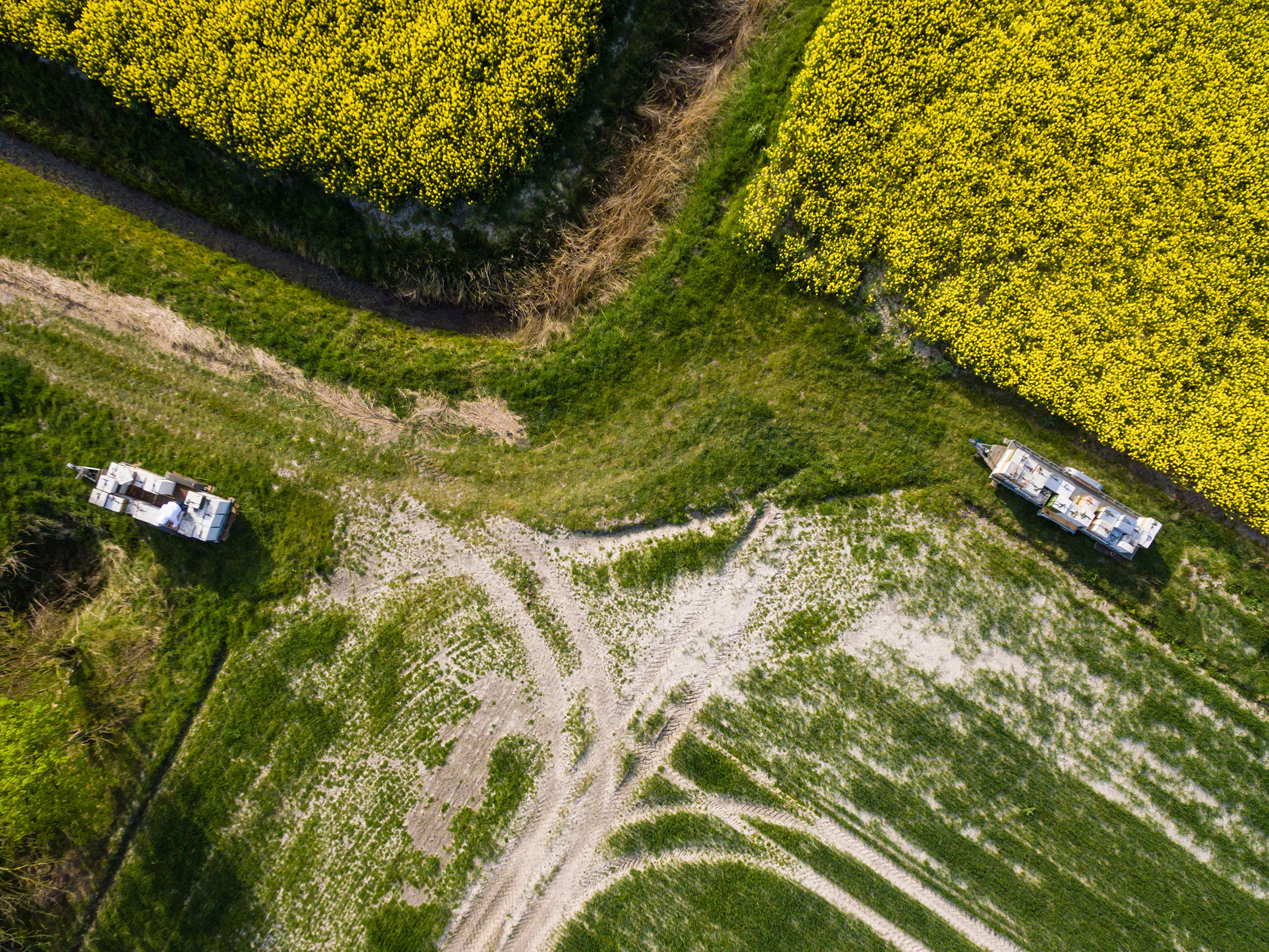 DJI_0126_cut_export