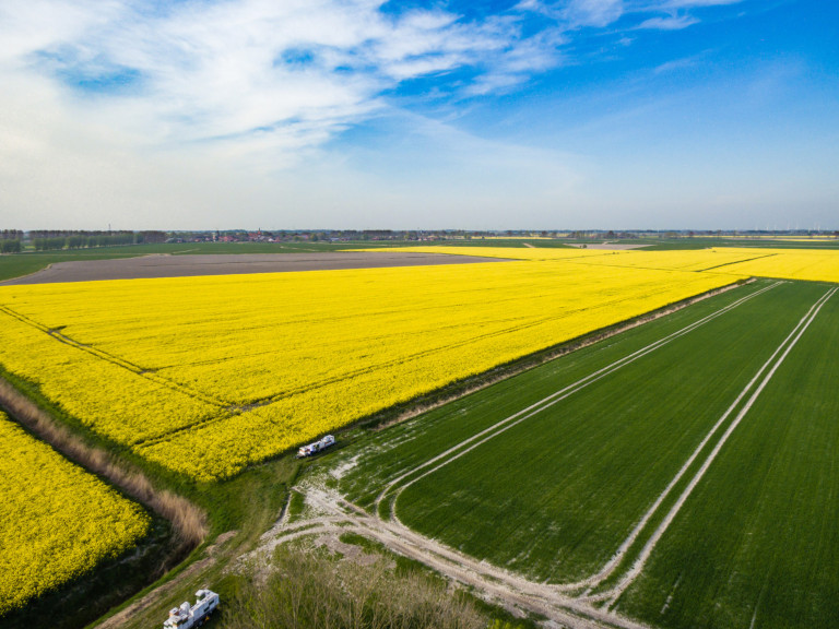 DJI_0151_export