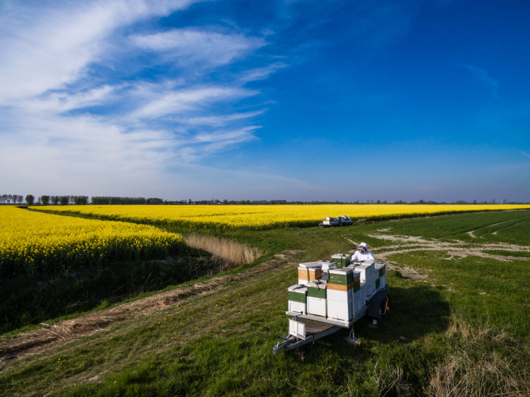 DJI_0118_export