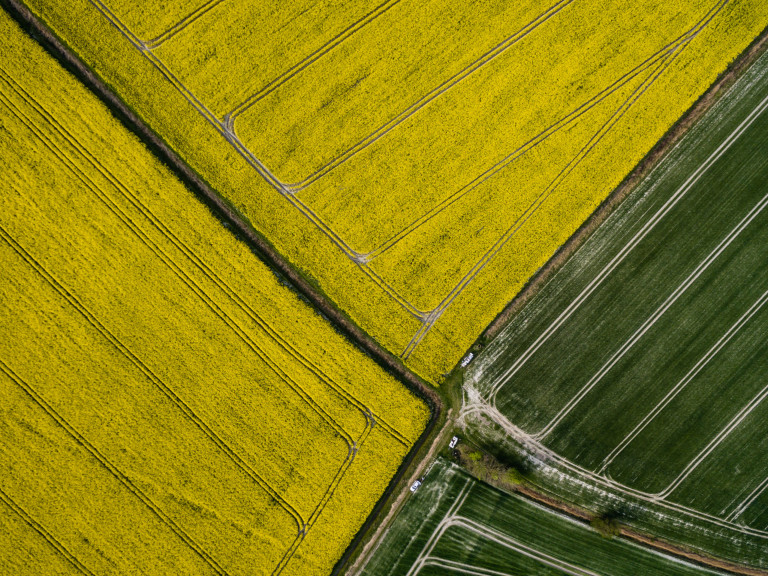 DJI_0142_export