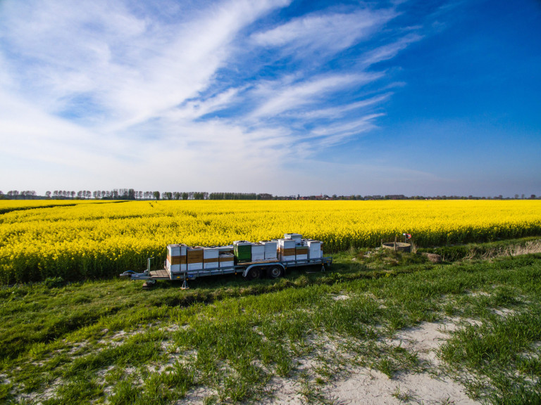 DJI_0120_export