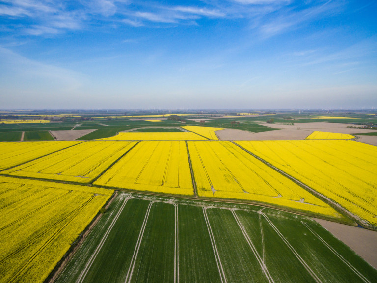DJI_0154_export