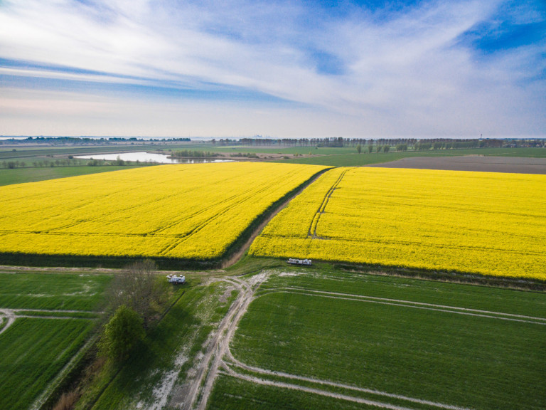 DJI_0149_export